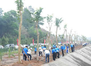 TKV phát động 'Tết trồng cây đời đời nhớ ơn Bác Hồ' Xuân Bính Ngọ 2026