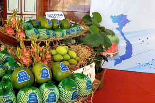 Đồng Tháp xuất khẩu lô bưởi da xanh đầu tiên sang thị trường Úc