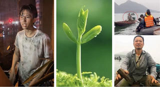 Xuân đi qua, điều tử tế vẫn kịp đâm chồi