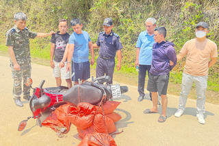 Hải quan thu giữ hơn 59 kg vảy nghi của tê tê tại Cao Bằng