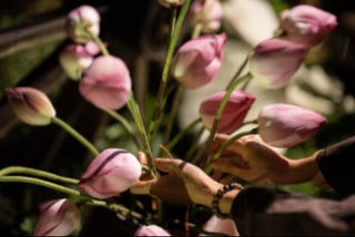 Biết ơn là một pháp tu nhiệm mầu