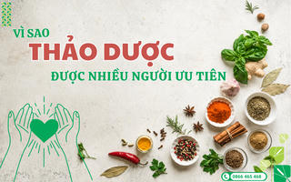 Thanh nhiệt bằng thảo dược - Xu hướng chăm sóc sức khỏe được ưa chuộng