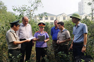 Thi hành án dân sự Quảng Trị: Gỡ nhiều “điểm nghẽn” án giá trị lớn, nâng hiệu quả thi hành án