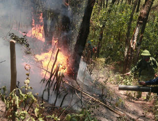 Hà Tĩnh: Yêu cầu dừng ngay việc dùng lửa để xử lý thực bì