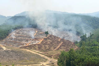 Nắng nóng kéo dài, nguy cơ cháy rừng gia tăng từ đốt thực bì ở Quảng Trị