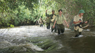 'Cuộc chiến' bảo vệ rừng ươi ở Đồng Nai

