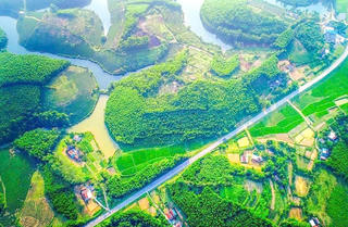 Đề nghị chấm dứt dự án du lịch ở đảo chè Cầu Cau 