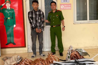 Bắt giữ đối tượng gây ra 12 vụ trộm cắp trên địa bàn Hà Nội