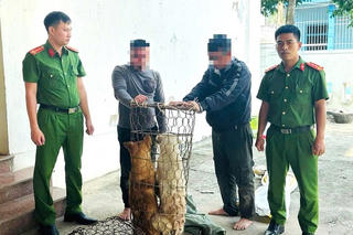 Khống chế 2 thanh niên đi trộm chó trong đêm