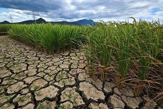 Nhiều khả năng xuất hiện El Nino rất mạnh, cảnh báo năm 2026 nắng nóng gia tăng, nhiều nơi khô hạn, thiếu nước