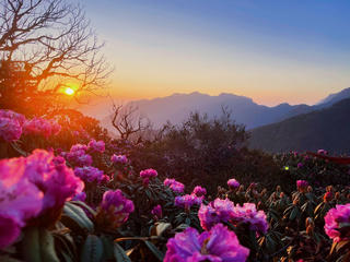 Hơn 300 vận động viên chinh phục đỉnh Tả Liên Sơn 