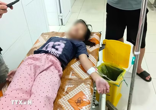 Điểm tin Pháp Luật ngày 20/04: Bộ Y tế vào cuộc vụ hơn 20 người nghi ngộ độc bánh mì
