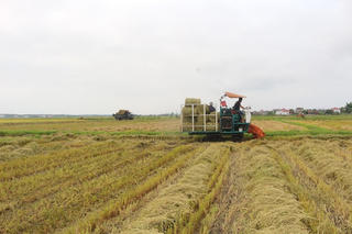 Một vòng quay mới trên đồng ruộng Quảng Trị