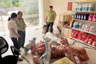 Phát hiện 15 phôi cây Muội hồng không rõ nguồn gốc đang chờ gửi qua đường bưu điện