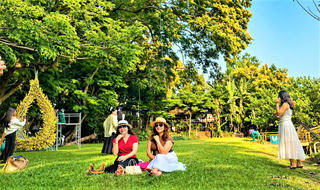 Rộn ràng sắc sưa Hương Trà- Đà Nẵng năm 2026