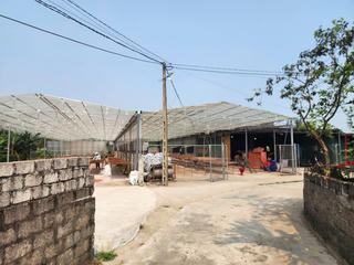 Nghệ An: Xác minh phản ánh cơ sở sản xuất hương gây bụi