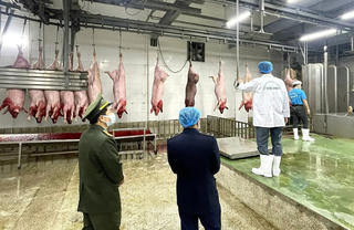 Hà Nội yêu cầu xử lý dứt điểm các cơ sở giết mổ động vật trái phép