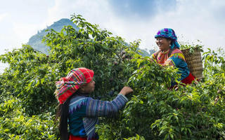 Triển lãm “Hương sắc vùng cao” tôn vinh bản sắc văn hóa dân tộc