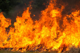 Nhật Bản huy động 1.400 lính cứu hỏa dập đám cháy rừng đang lan rộng