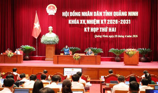 Kỳ họp thứ 2 HĐND tỉnh Quảng Ninh thông qua nhiều nghị quyết quan trọng