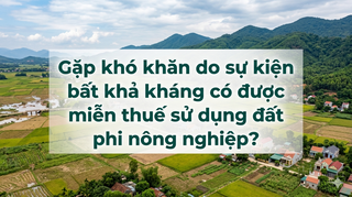 Gặp khó khăn do sự kiện bất khả kháng có được miễn thuế sử dụng đất phi nông nghiệp?