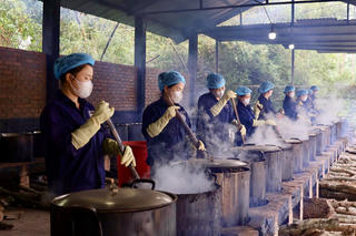 Lương y Nguyễn Thị Thái 'giữ lửa' thuốc Nam giữa đại ngàn
