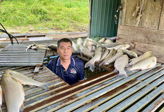 Lấy mẫu nước sông Lam tìm nguyên nhân hơn 8,6 tấn cá chết bất thường