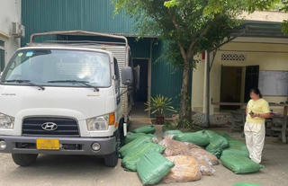 Thu giữ 1,2 tấn nguyên liệu thuốc lá không rõ nguồn gốc