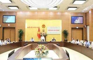 Nhiệm vụ, quyền hạn của Ban chỉ đạo Tổng rà soát Hệ thống văn bản quy phạm pháp luật