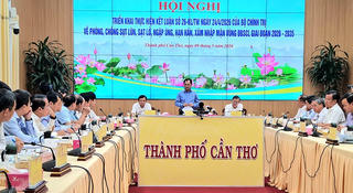 Triển khai các dự án phòng, chống sạt lở, ngập úng, hạn hán, xâm nhập mặn tại Đồng bằng sông Cửu Long: Bảo đảm tính liên kết vùng, tránh tình trạng đầu tư cục bộ, manh mún
