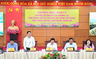 Lào Cai định hình các cực tăng trưởng mới sau sắp xếp đơn vị hành chính