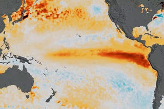 Cảnh báo khả năng El Nino quay lại với cường độ mạnh