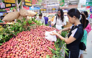 Nông sản Việt tiếp tục cung ứng mạnh vào hệ thống siêu thị Saigon Co.op
