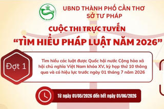 Cần Thơ tổ chức cuộc thi trực tuyến “Tìm hiểu pháp luật năm 2026”
