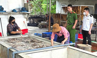 Bắc Ninh phát hiện hơn 3 tấn lòng lợn bốc mùi hôi thối chuẩn bị tuồn ra thị trường