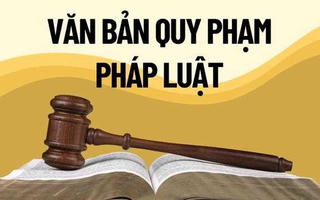 Phó Thủ tướng yêu cầu tổng hợp vướng mắc chính sách trước ngày 5/6