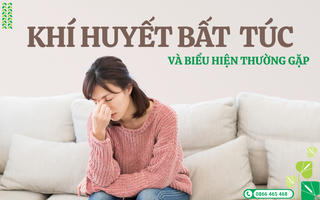 Thập Toàn Đại Bổ Abipha: Ôn bổ khí huyết từ bài thuốc y học cổ truyền