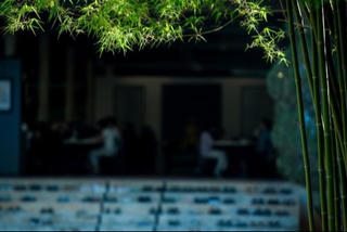 Phong thủy là gì? Chúng ta có thể chuyển đổi phong thủy không?