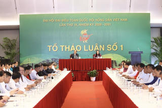 Đề xuất xây dựng hệ sinh thái số kết nối toàn diện cho nông dân