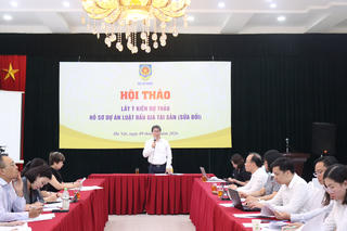 Sửa đổi Luật Đấu giá tài sản: Phòng, chống thông đồng, dìm giá, bỏ cọc