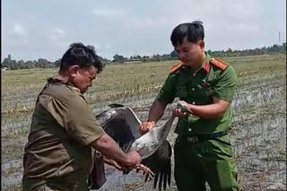 Kế hoạch 628: Khi những cánh chim trở lại và cuộc chiến vẫn chưa dừng...