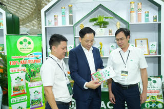 Dấu ấn đổi mới của Supe Lâm Thao: Thêm 11 sản phẩm mới năm 2026