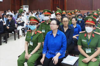Kiện toàn Ban Chỉ đạo liên ngành liên quan đến vụ án Vạn Thịnh Phát