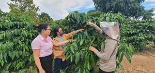 Tín dụng chính sách khơi thông động lực giảm nghèo bền vững ở Quảng Ngãi
