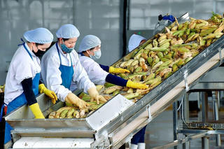 Pháp 'siết' dư lượng thuốc bảo vệ thực vật, nông sản Việt xuất khẩu sang EU cần lưu ý gì?