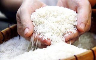 Tăng chất lượng và giá trị hạt gạo Việt Nam