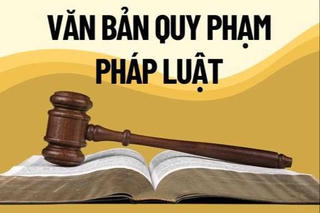 Yêu cầu chấm dứt tình trạng chậm ban hành văn bản quy định chi tiết luật, pháp lệnh, nghị quyết