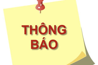Thông báo đấu giá cho thuê tài sản công của Trường Cao đẳng sư phạm Hòa Bình
