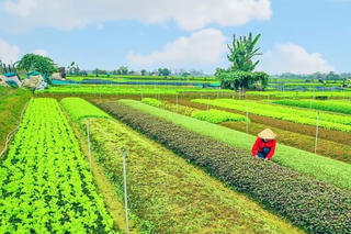 TP Huế phát triển sản phẩm OCOP gắn với du lịch và làng nghề truyền thống