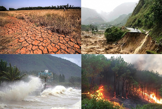 Bản tin tổng hợp 25/06: Việt Nam chủ động ứng phó tác động của El Nino trong bối cảnh khí hậu cực đoan